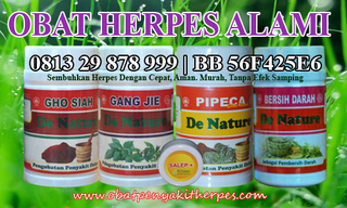 Illustration for article titled Pengobatan Penyakit Herpes